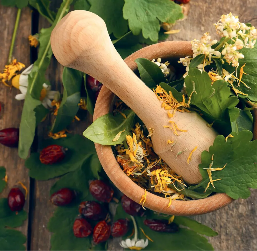 Quiénes Somos Quiénes Somos