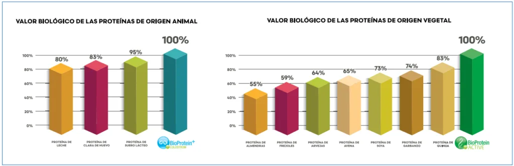 Valor biológico proteínas Valor biológico proteínas